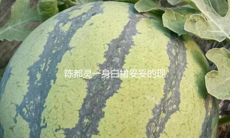 陈都灵一身白裙妥妥的现代贵女，孙千演示夏天海岛风