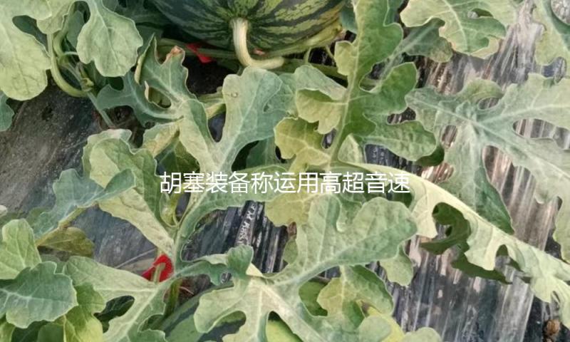 胡塞装备称运用高超音速导弹冲击以色列本