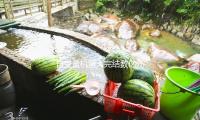 自變量機器人完結數億元A輪融資，美團特別推出出資 — 新京報
