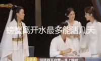 螃蟹離開水最多能活幾天