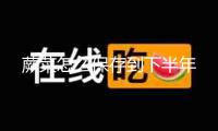 蕨菜怎么保存到下半年