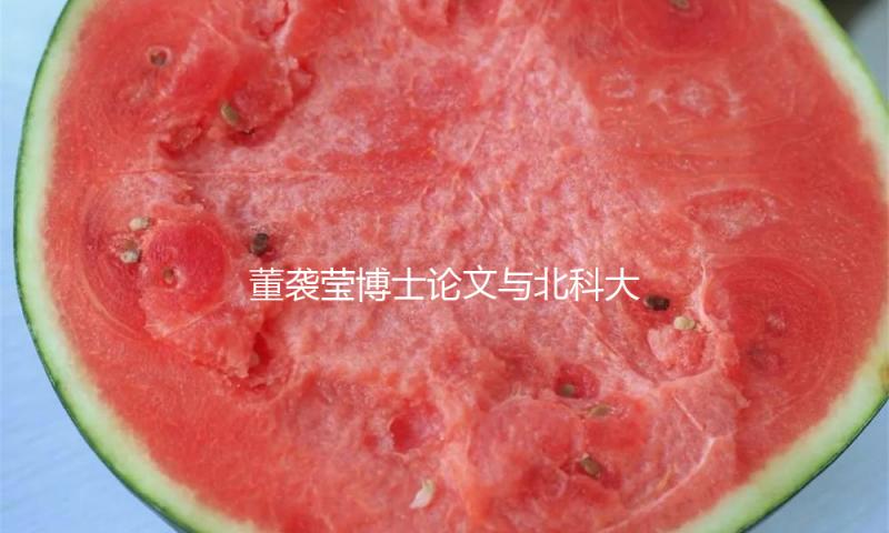 董袭莹博士论文与北科大一发明专利多处相同