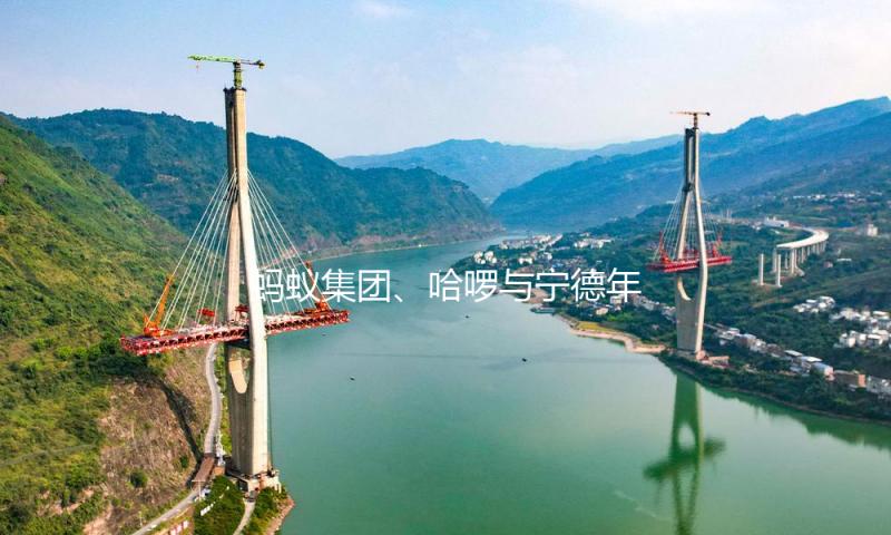 蚂蚁集团、哈啰与宁德年代达到战略协作 — 新京报