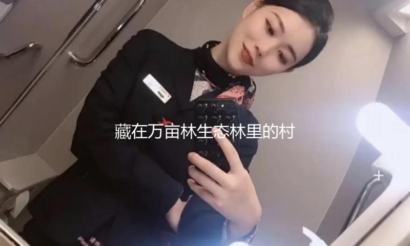 藏在万亩林生态林里的村庄，如何故一杯咖啡撬动村庄复兴“流量暗码”？