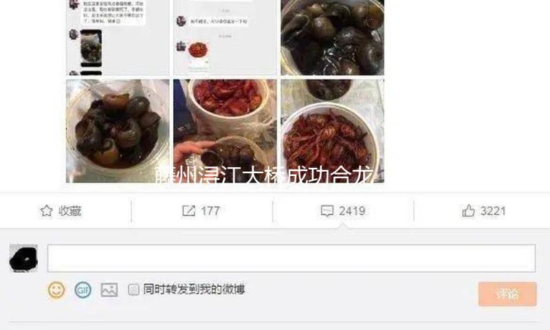 藤州浔江大桥成功合龙 方案于本年二季度通车
