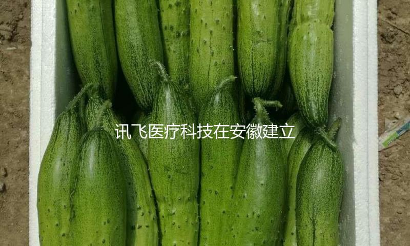 讯飞医疗科技在安徽建立新公司 — 新京报