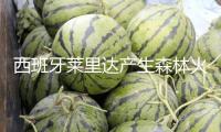西班牙萊里達產生森林火災 已焚毀超400公頃土地