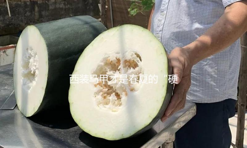 西装马甲才是春夏的“硬通货”！多种穿法时尚诱人，不会审美疲劳