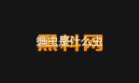 蠊蟲是什么蟲