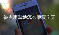 被占用犁地怎么康復？天然資源部：給足過渡期逐漸有序分類處置