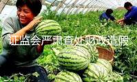 證監會嚴肅查處財政造假案子，初次對合作造假方同步追責
