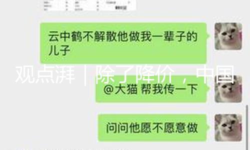观点湃｜除了降价，中国车企应该另寻出路了