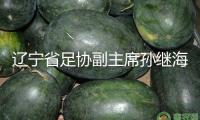 遼寧省足協副主席孫繼海中選大連市足協副主席