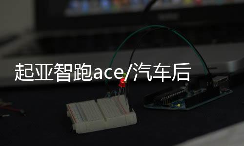 【黑料網網頁】
