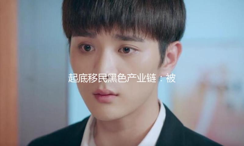 起底移民黑色产业链：被逼喊反抗标语，价值榨尽流落街头