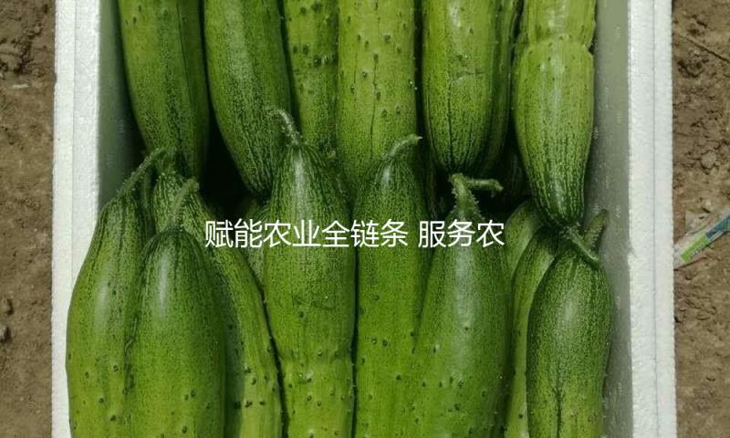 赋能农业全链条 服务农人“零距离”