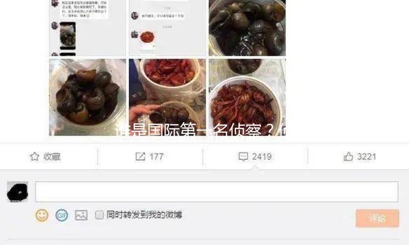 谁是国际第一名侦察？侦察小说中的侦办学 — 新京报