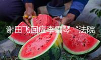 謝田飛回應李雪琴“法院見”：為什么反訴我泄密？