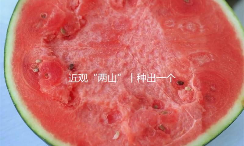 近观“两山”丨种出一个春天！