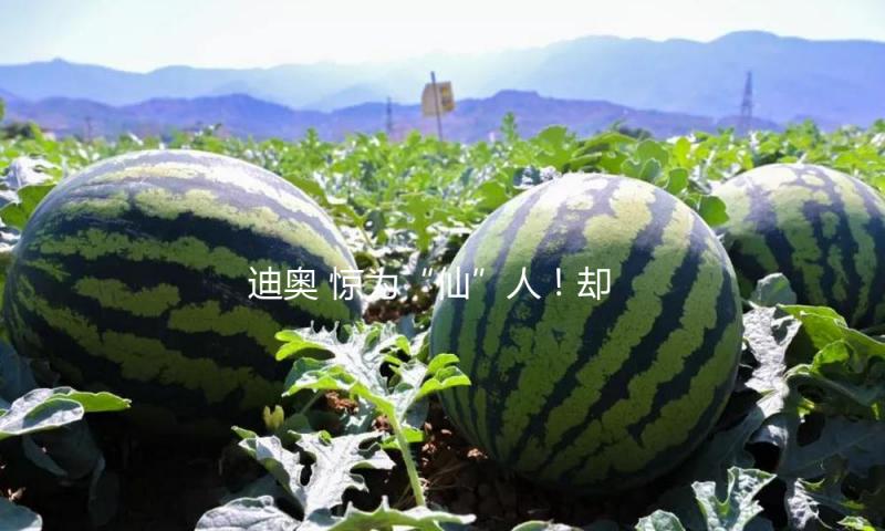 迪奥 惊为“仙”人！却被诟病“华伦天奴似的” Dior史上首位女性创意总监正式卸任，网友：喜大普奔？
