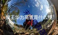 魔王華為高管是什么梗
