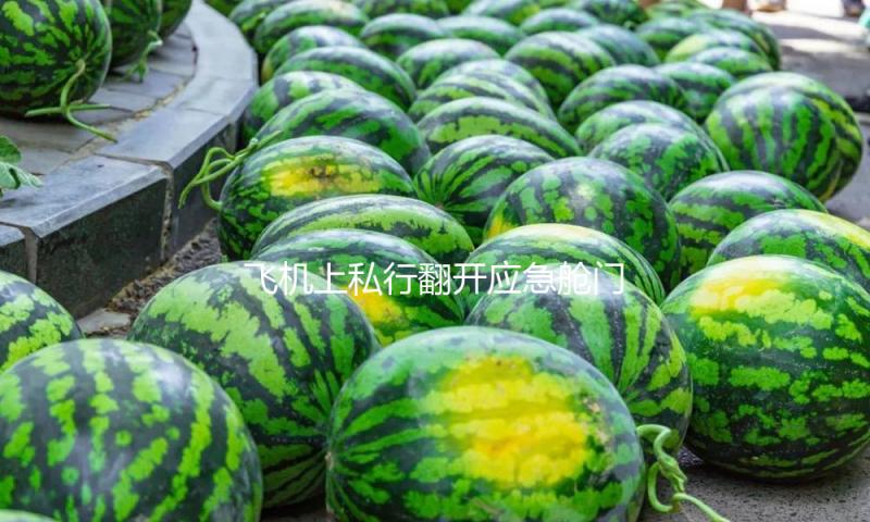 飞机上私行翻开应急舱门有何结果？ 乘机坐在这个方位须留意