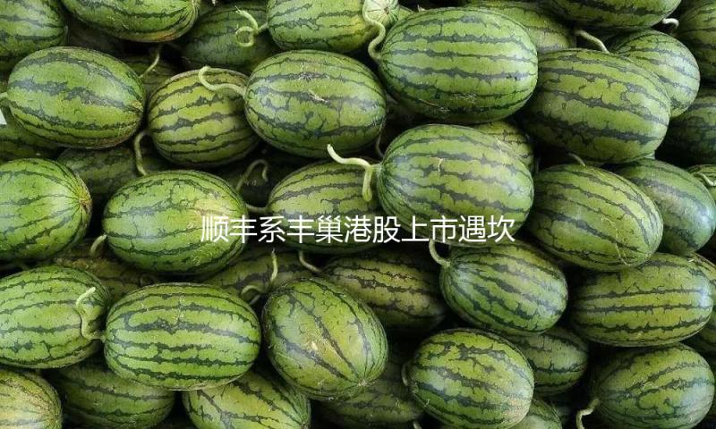 顺丰系丰巢港股上市遇坎