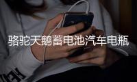 駱駝天鵝蓄電池汽車電瓶L2 400大眾朗逸奇瑞科魯絲速騰12V60AH