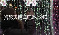 駱駝天鵝蓄電池L2400適配高爾夫邁騰明銳捷達力帆12V60AH汽車電瓶