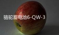 駱駝蓄電池6-QW-36適用于本田飛度哥瑞理念鋒范汽車電瓶 以舊換新