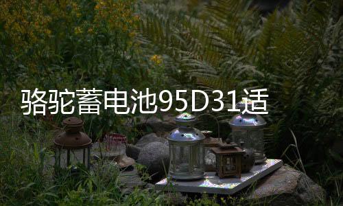 【51吃瓜出品】