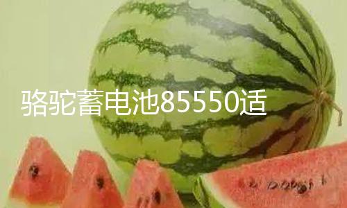 【51cgfun】