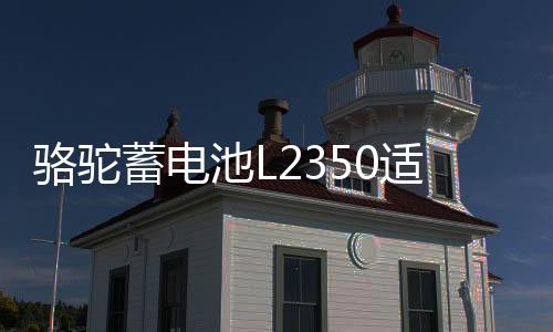 【ccggbet吃瓜網最新】