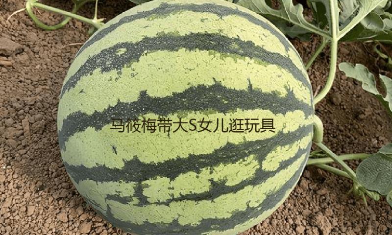 马筱梅带大S女儿逛玩具店，小玥儿侧颜冷艳背不驼了，一下自傲！