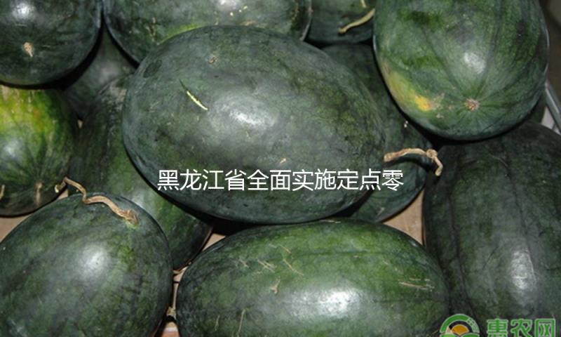 黑龙江省全面实施定点零售药店“无码不付”