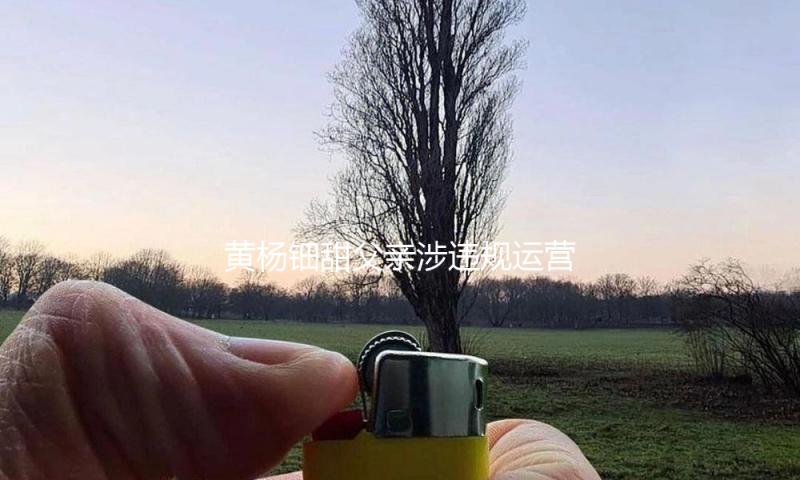 黄杨钿甜父亲涉违规运营、在职期间违法生二孩，会怎么处分？律师解读