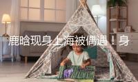 鹿晗現(xiàn)身上海被偶遇！身段消瘦容貌大變成了“紙片人”