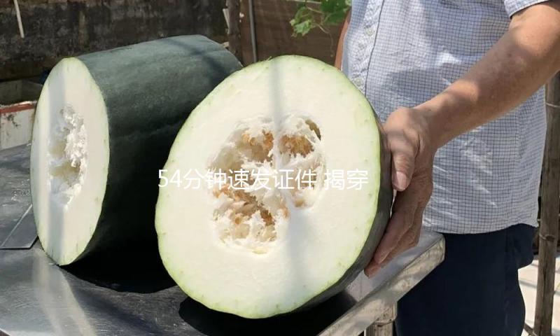 54分钟速发证件 揭穿“健康证”处理乱象 — 新京报