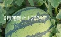 6月底截止！2024年度個稅匯算抓住辦 攻略來了→