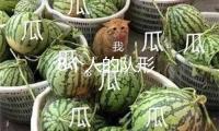 8個人的隊形