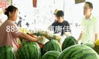 88歲香港導演唐佳墜樓身亡！現場慘烈身首異處，初判因妻病重自殺