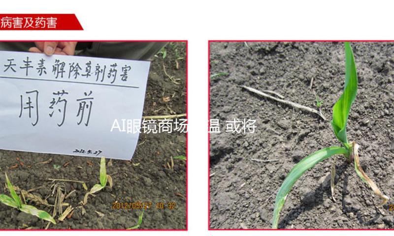 AI眼镜商场升温 或将迎来从“尝鲜”到“刚需”改变 — 新京报