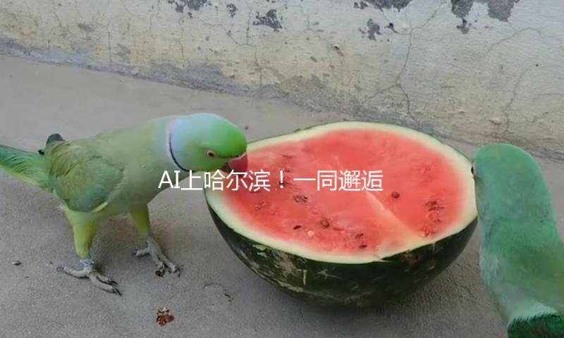 AI上哈尔滨！一同邂逅春日里的冰城