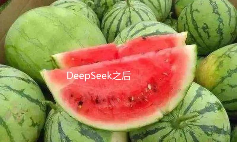 DeepSeek之后 又一个王炸！会自主干活的Manus一夜爆火