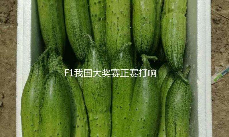 F1我国大奖赛正赛打响，皮亚斯特里初次捧起冠军奖杯