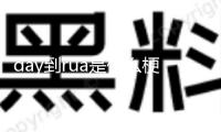 day到rua是什么梗