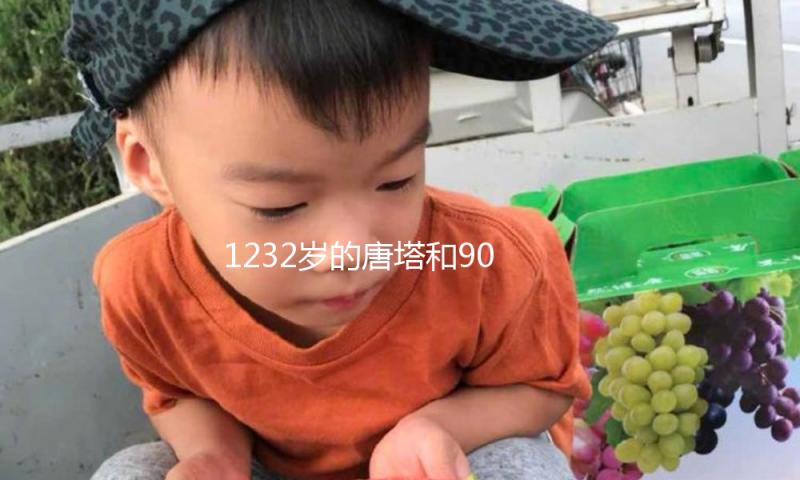 1232岁的唐塔和90后“守塔人”｜文明我国行