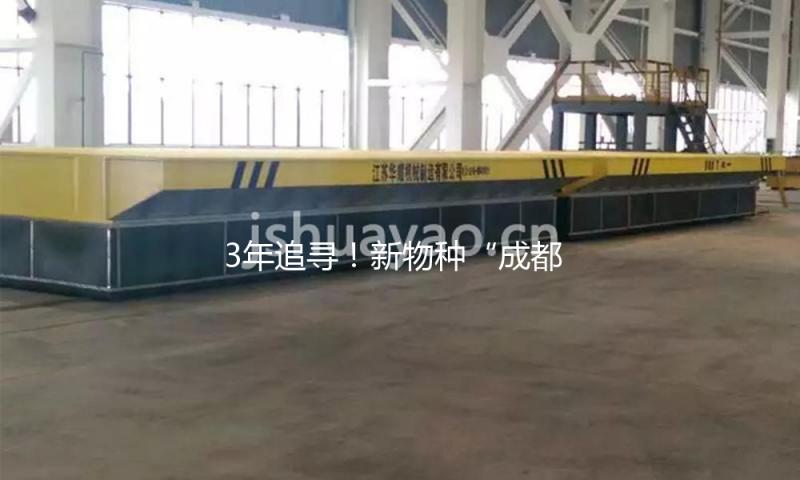 3年追寻！新物种“成都卫矛”成功“解锁”