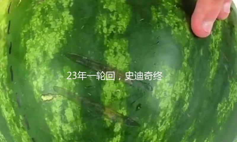 23年一轮回，史迪奇终究赢了阿汤哥