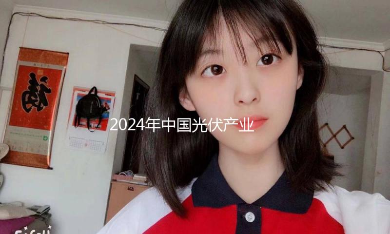 2024年中国光伏产业链首要环节产值持续增长